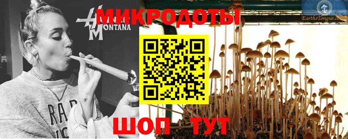 Псилоцибиновые грибы MAGIC MUSHROOMS Сухой Лог