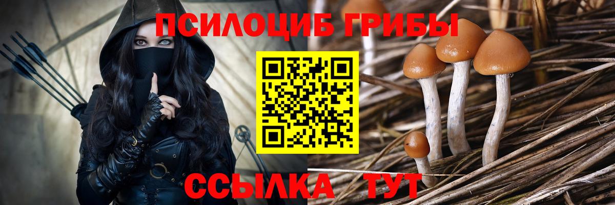 Сухой Лог  Псилоцибиновые грибы Psilocybine cubensis  где найти   Вход с VPN 